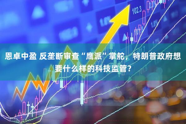 恩卓中盈 反垄断审查“鹰派”掌舵，特朗普政府想要什么样的科技监管？